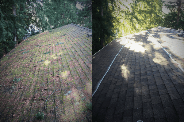 roof cleaner