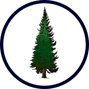 Evergreen Window Cleaning Home Maintenance Committed To Excellence Evergreen Window Cleaning Home