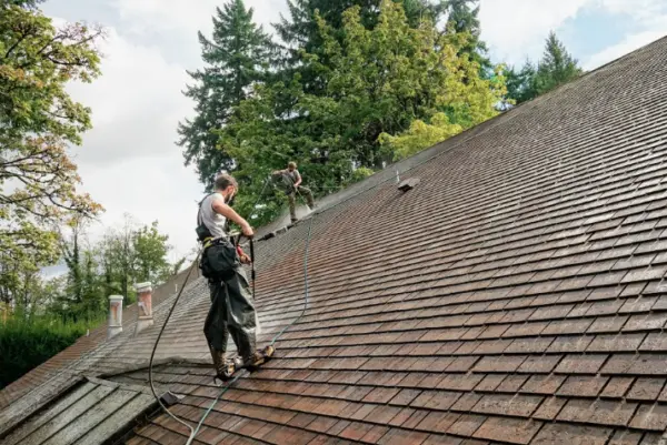 Shoreline roof cleaning business