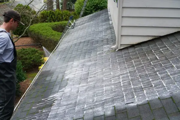 bellevue roof washers