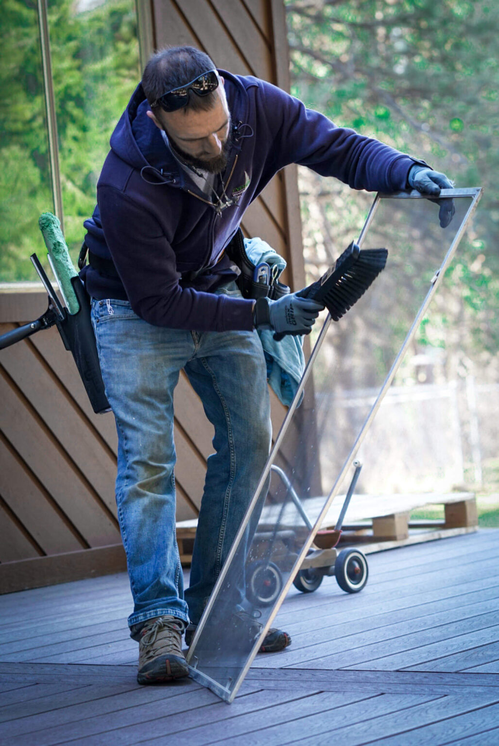 Best Way How To Clean Window Screens Evergreen