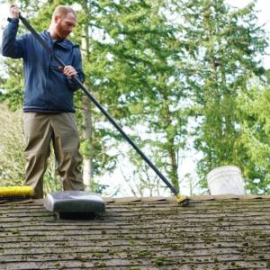 Tips You Need To Consider Before Hiring a Roof Cleaning Moss Removal Company