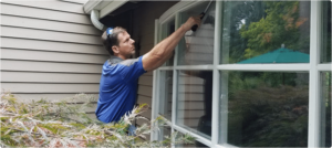 Window Cleaning Services | Seattle's #1 Window Washing Company