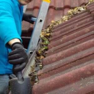 Clogged Gutters Damage Your Home! What Happens if You Don’t Clean Them?