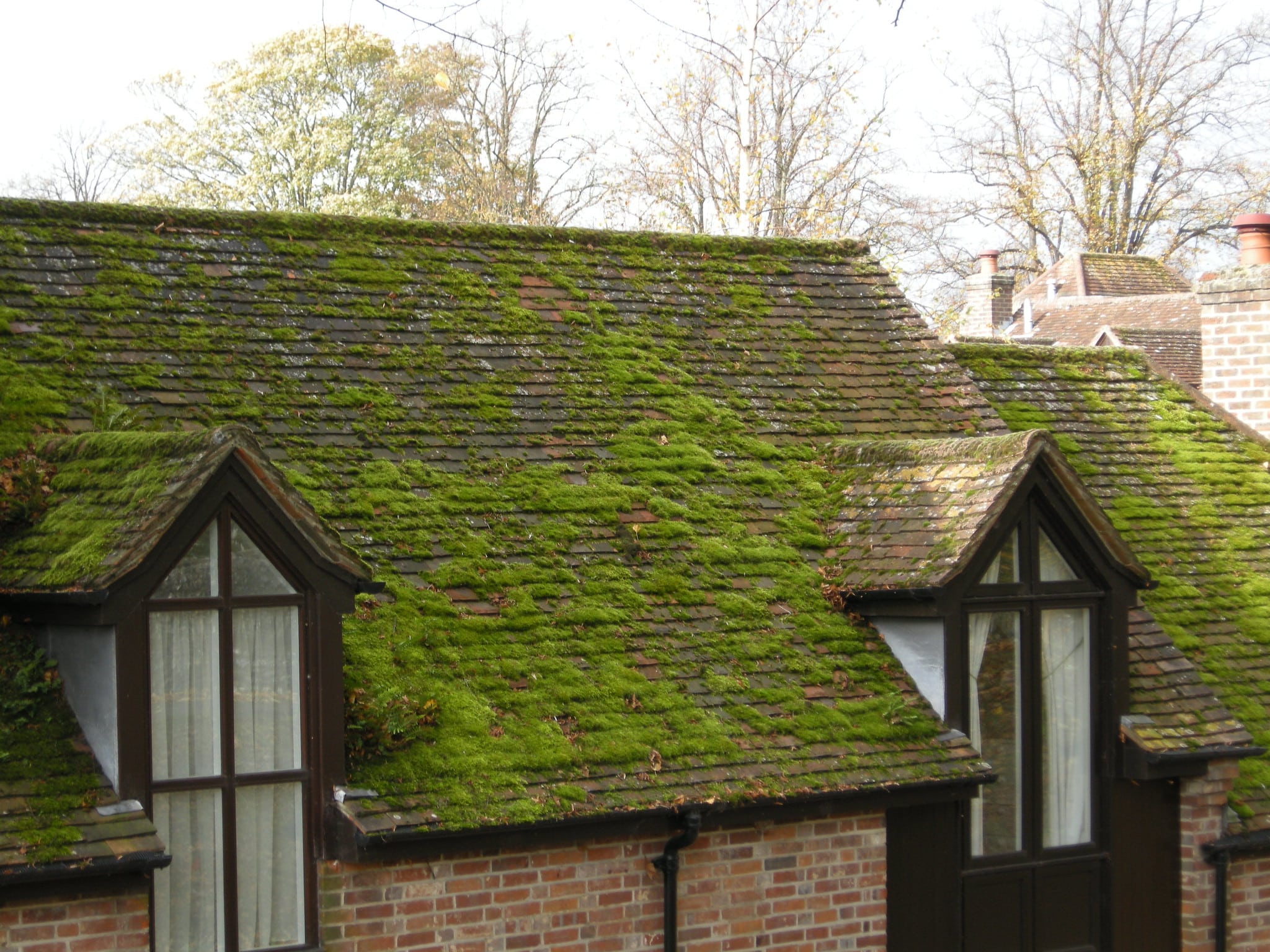 how-to-kill-moss-on-your-roof-a-homeowner-s-guide-evergreen