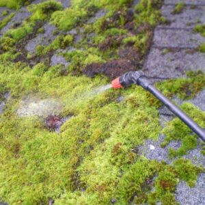 Tips on Roof Moss Cleaning Everybody Should Know